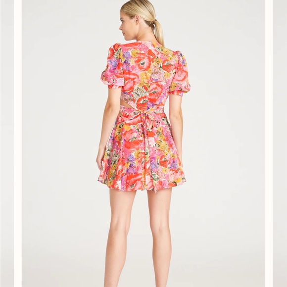 AMUR Cutout Dress - NWT - Picture 3 of 8